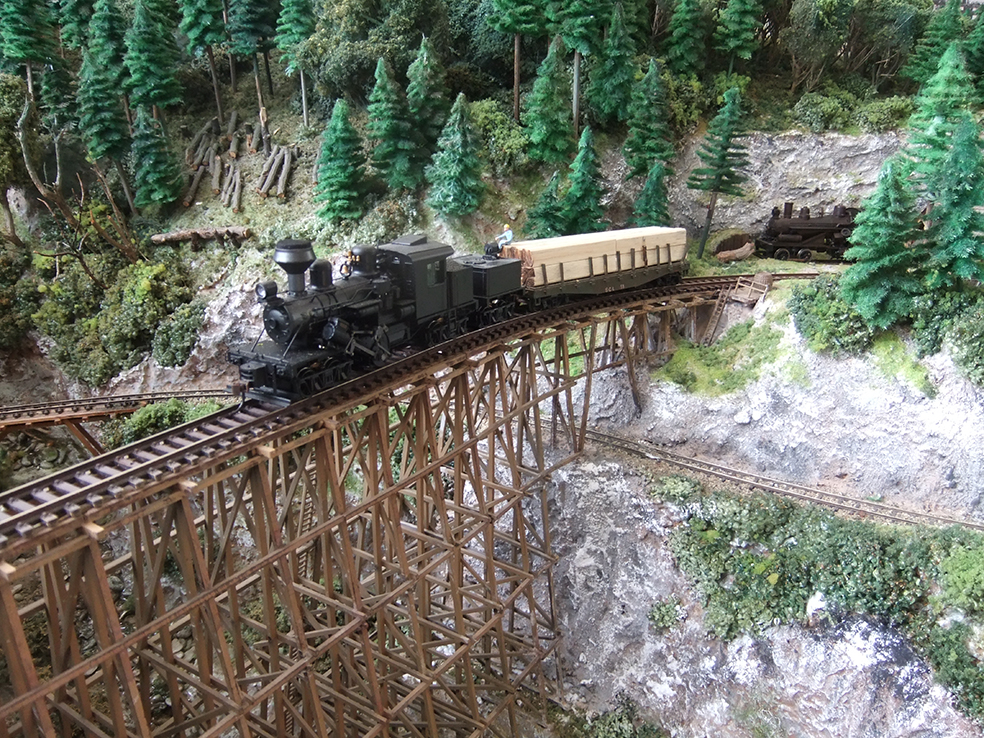 ferrovie forestali americane